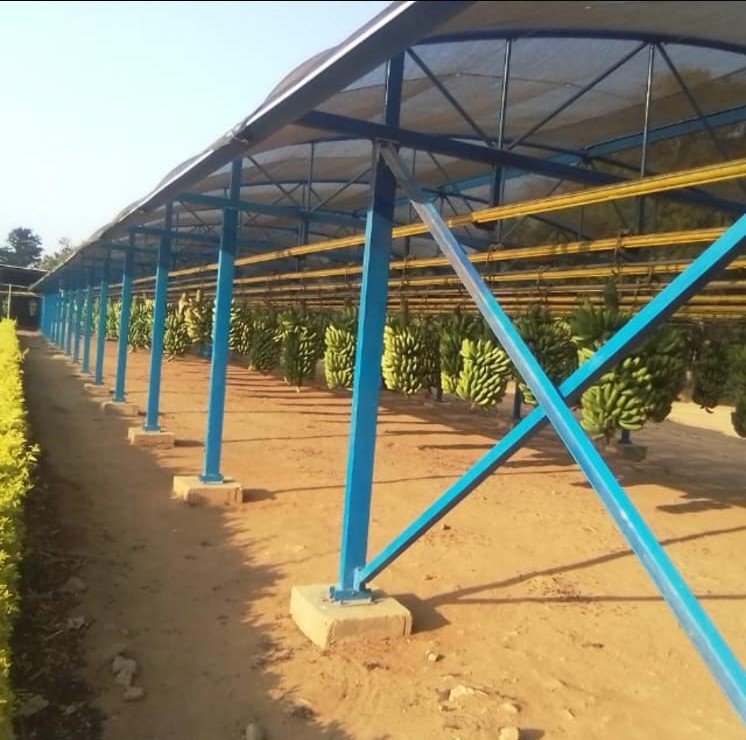 WhatsApp Image 2025-01-09 at 21.32.23 (1)