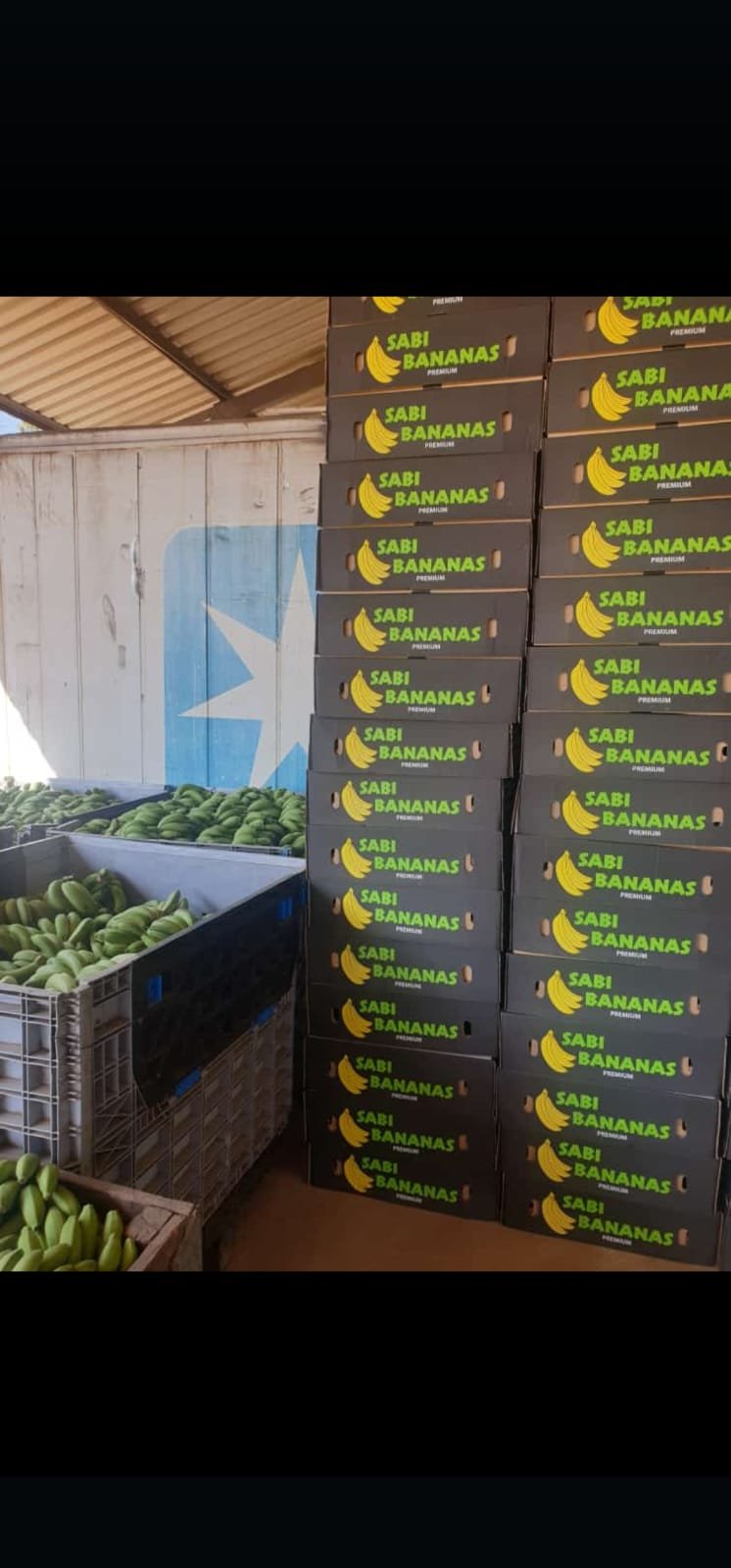 WhatsApp Image 2025-01-09 at 21.32.23