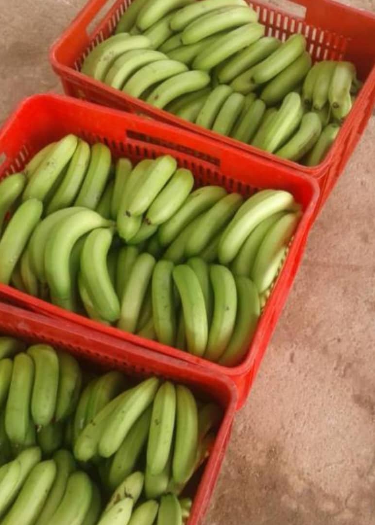 WhatsApp Image 2025-01-12 at 12.23.44