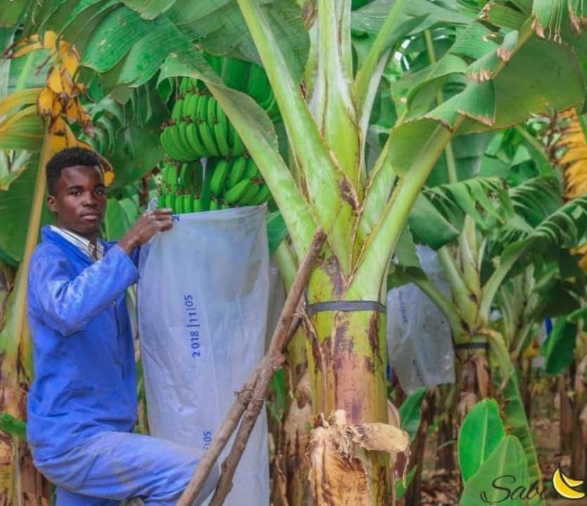 WhatsApp Image 2025-01-12 at 12.23.45 (1)