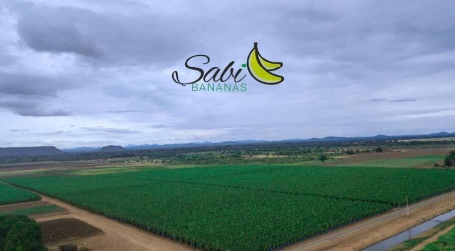 WhatsApp Image 2025-01-12 at 12.23.46 (1)